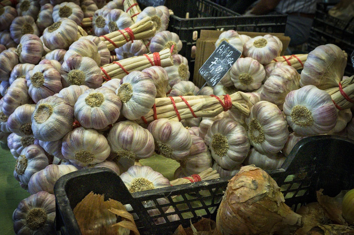 Aglio Biologico Fresco